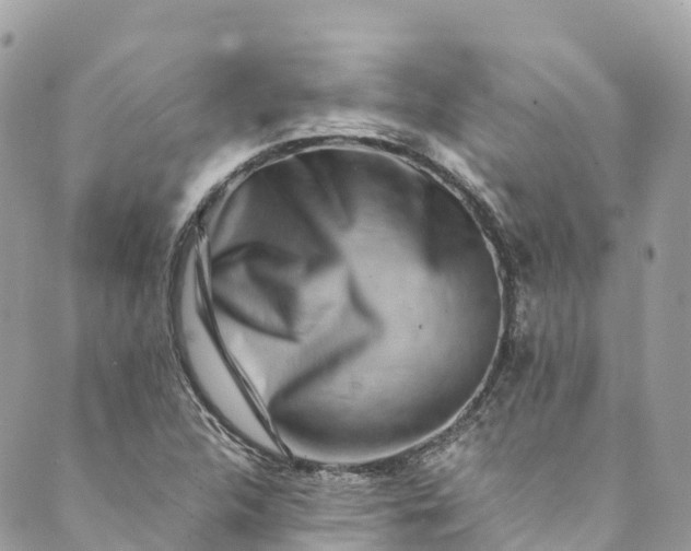 X0000089431312200706291304