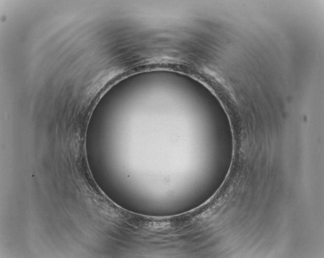 X0000089431313200706291304