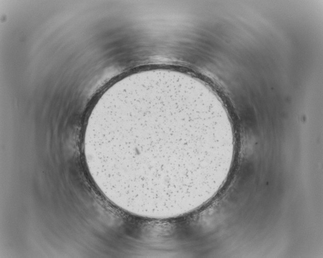 X0000089431314200706291304