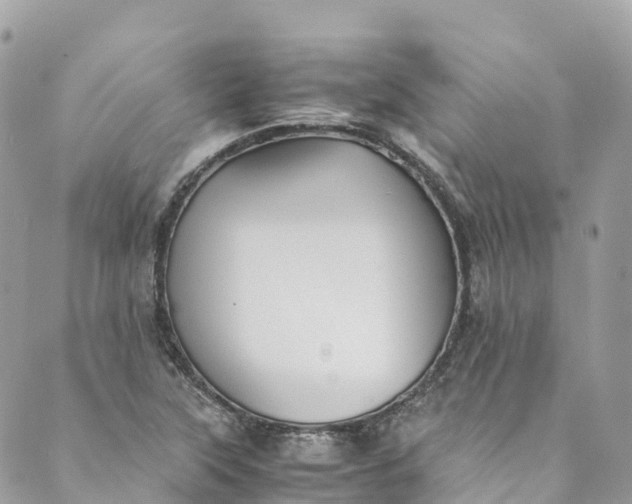 X0000089431315200706291304