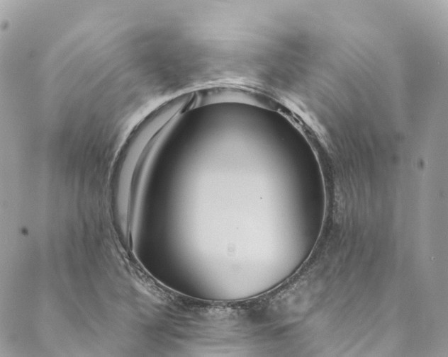 X0000089431316200706291304