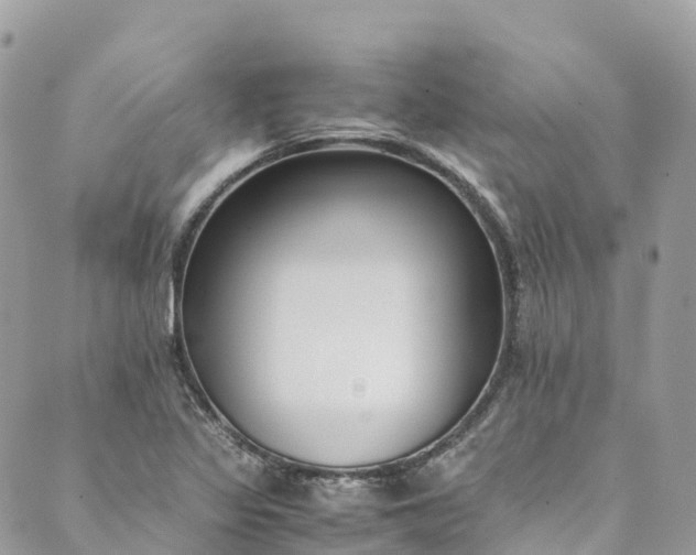 X0000089431317200706291304