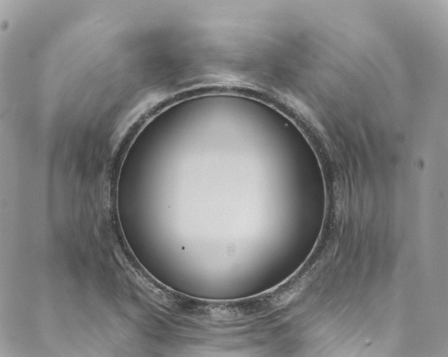 X0000089431318200706291304