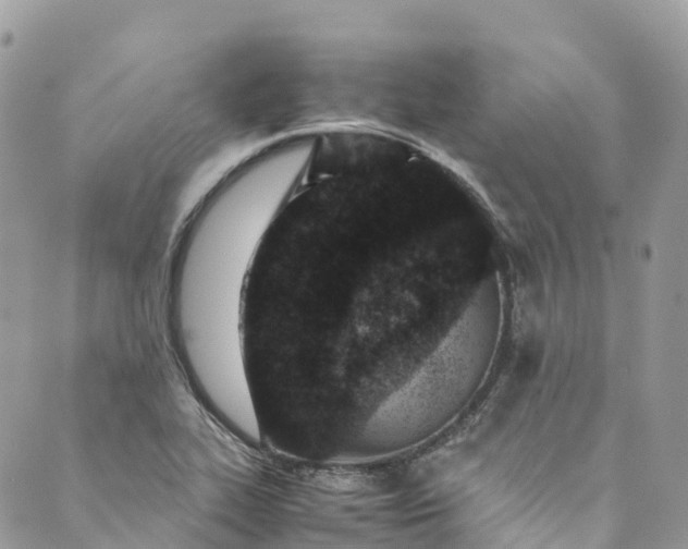 X0000089431319200706291304