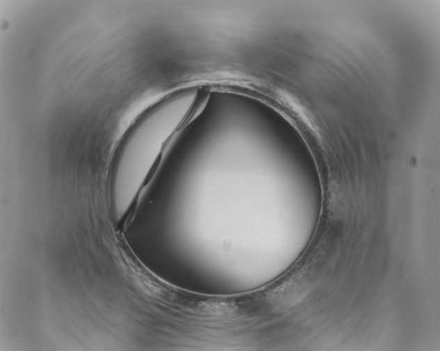 X0000089431320200706291304