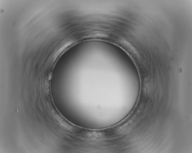 X0000089431321200706291304