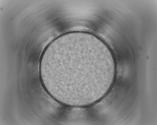 X0000089431322200706291304