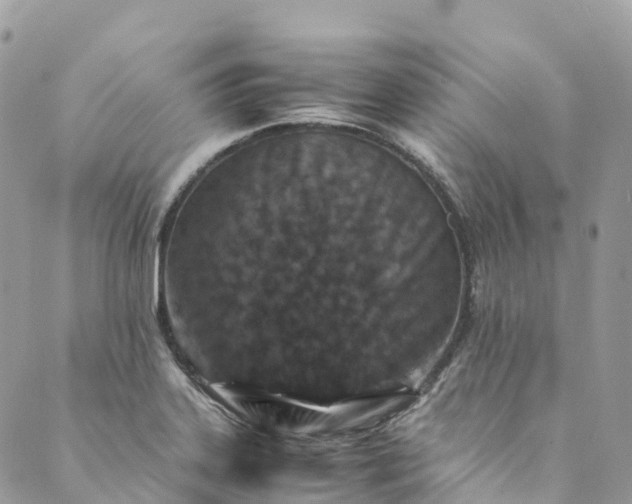 X0000089431323200706291304