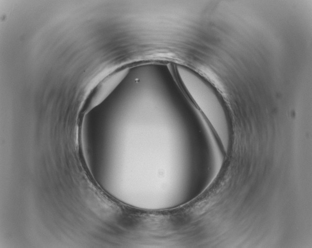 X0000089431324200706291304