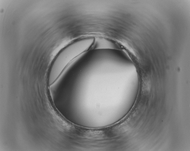 X0000089431325200706291304