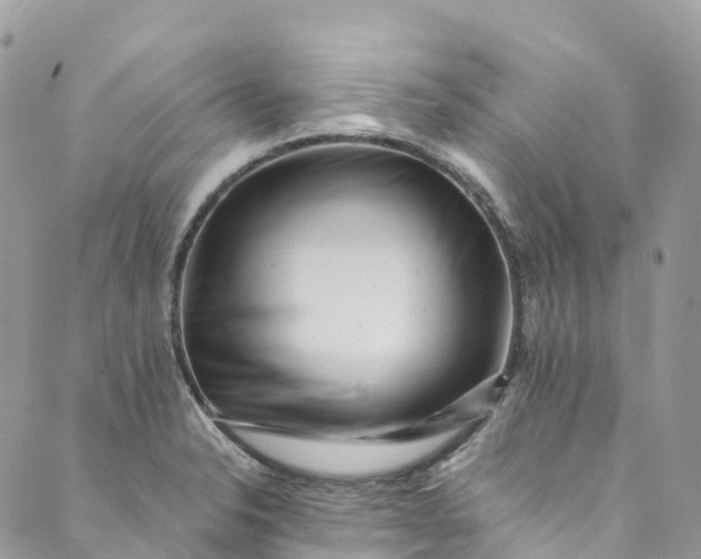 X0000089431326200706291304