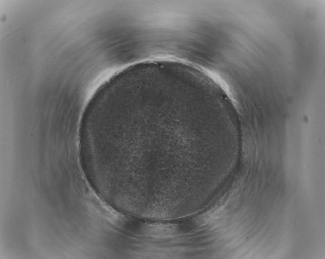 X0000089431327200706291304