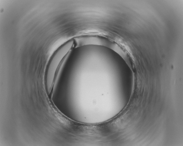 X0000089431328200706291304