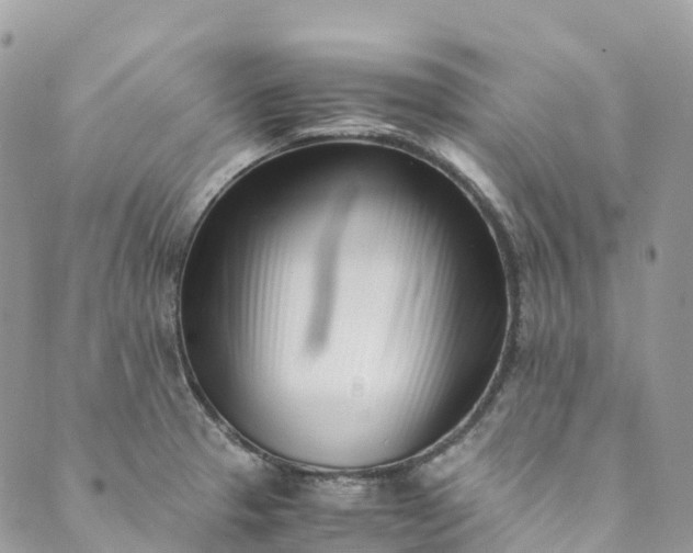 X0000089431329200706291304