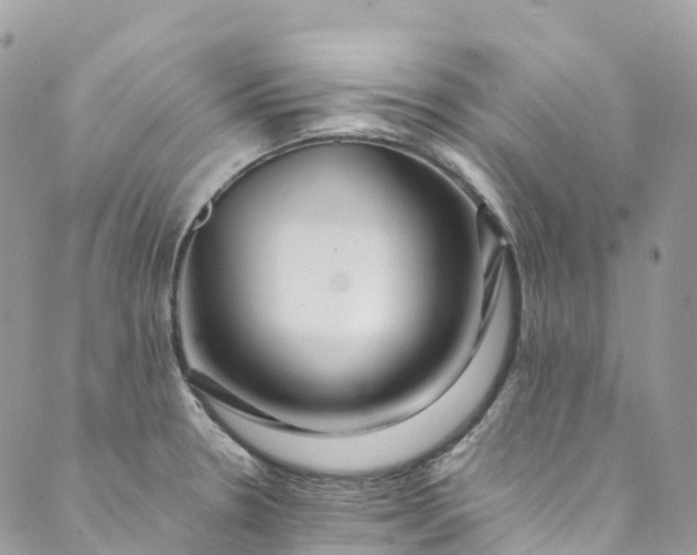 X0000089431330200706291304