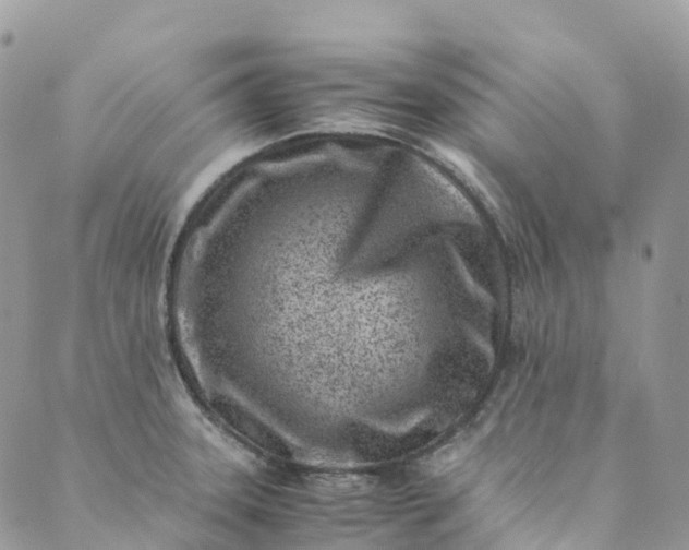 X0000089431331200706291304