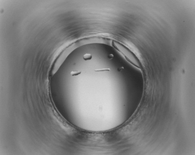 X0000089431332200706291304