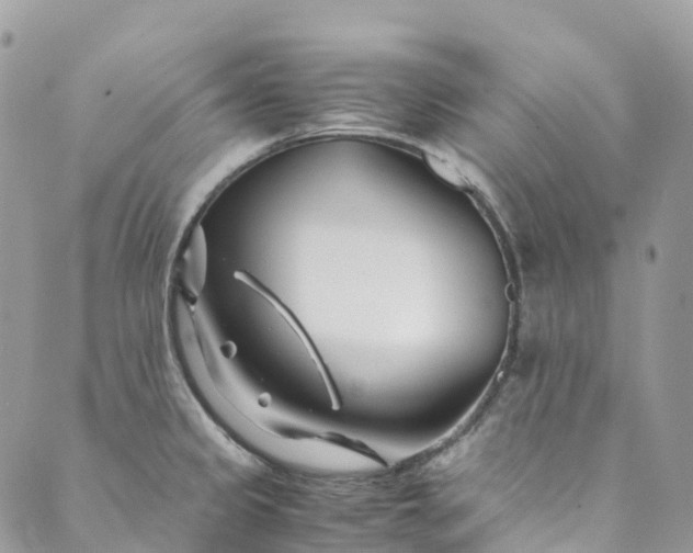 X0000089431333200706291304