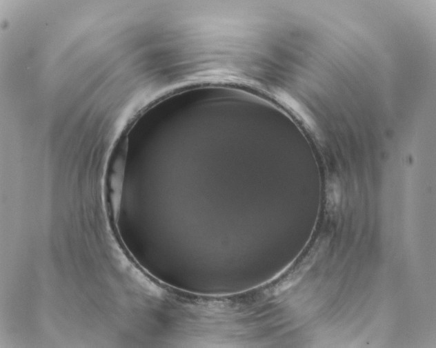 X0000089431334200706291304