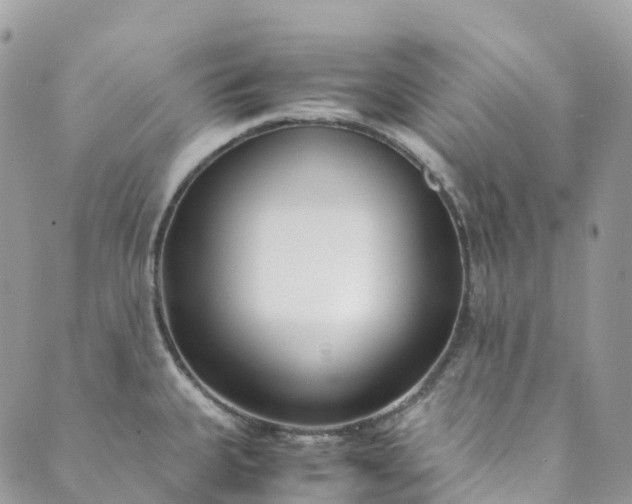 X0000089431335200706291304