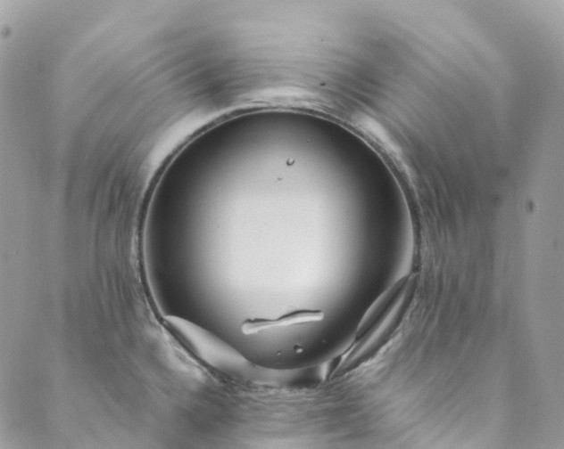 X0000089431336200706291304