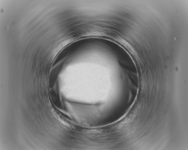 X0000089431337200706291304