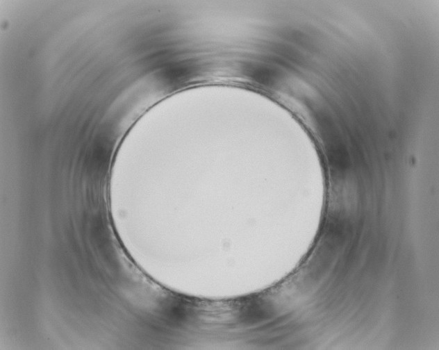 X0000089431338200706291304