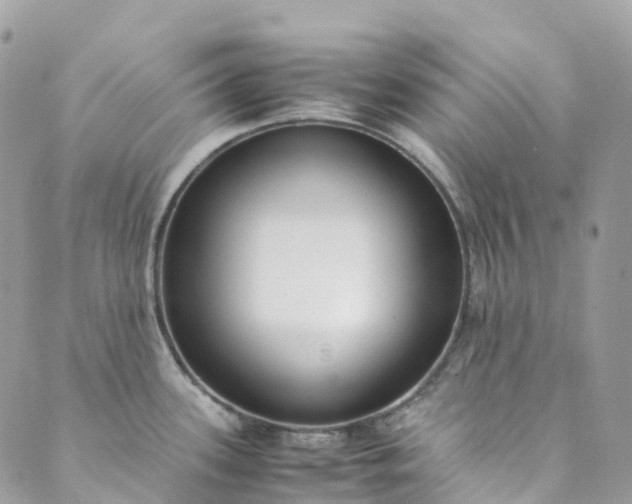 X0000089431339200706291305