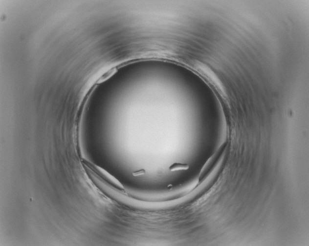 X0000089431340200706291305