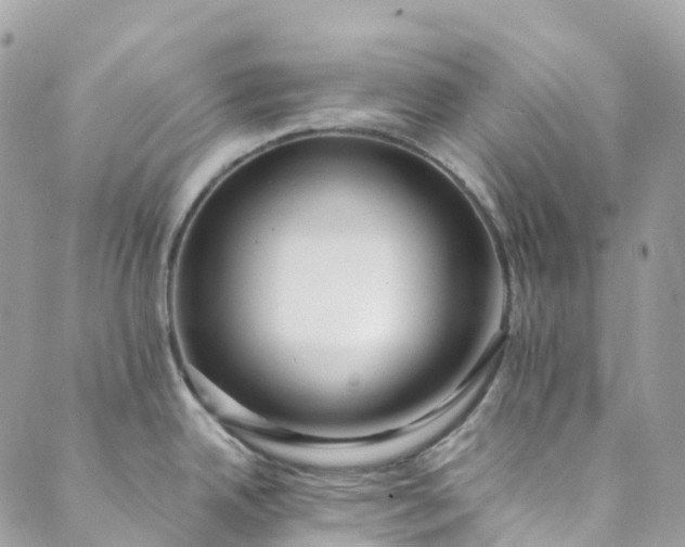 X0000089431342200706291305