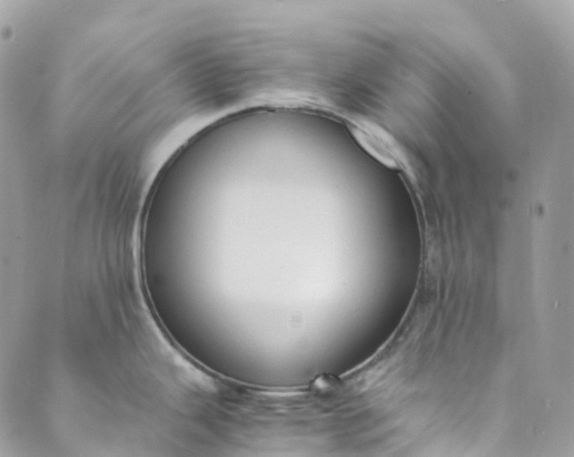 X0000089431343200706291305