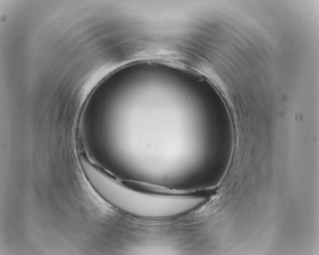 X0000089431344200706291305