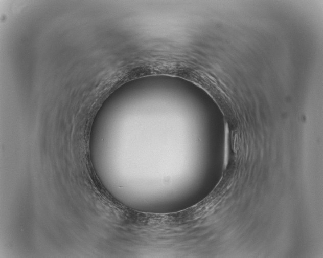 X0000089431345200706291304