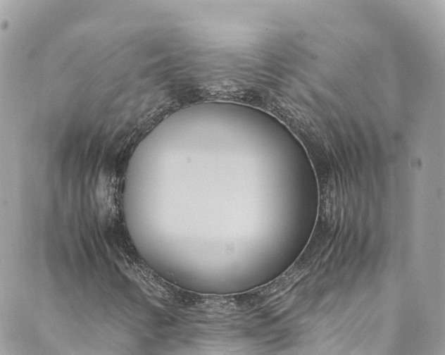 X0000089431346200706291304