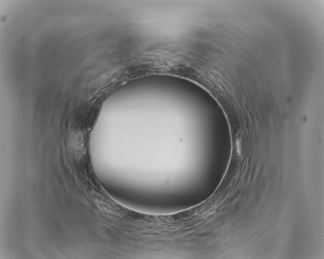 X0000089431347200706291304