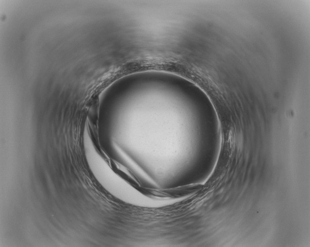 X0000089431348200706291304