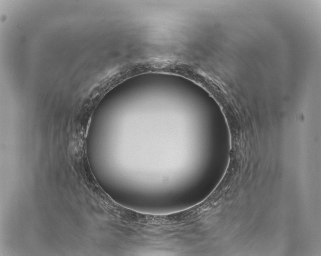 X0000089431349200706291304