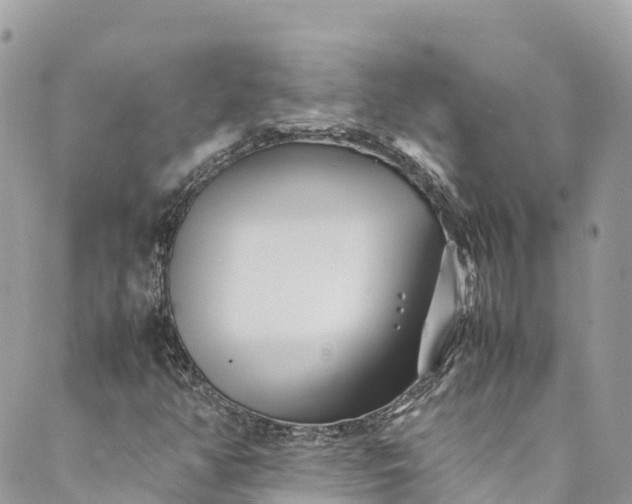 X0000089431350200706291304