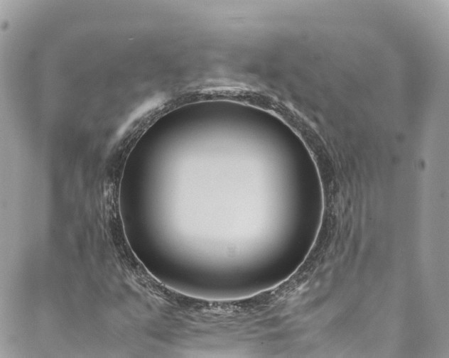 X0000089431351200706291304