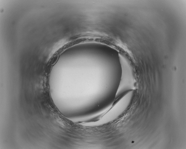 X0000089431352200706291304