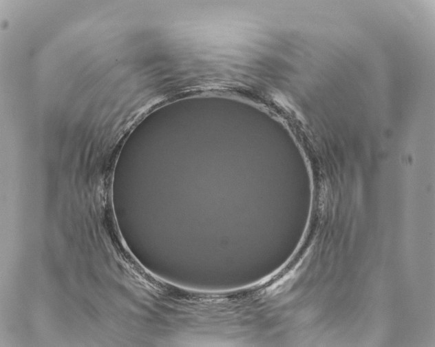 X0000089431353200706291304