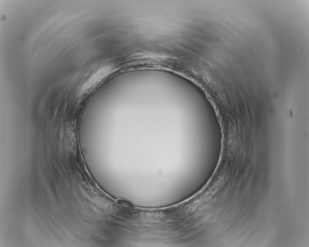 X0000089431354200706291304