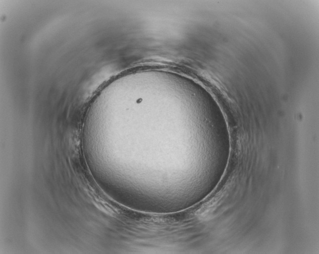 X0000089431355200706291304