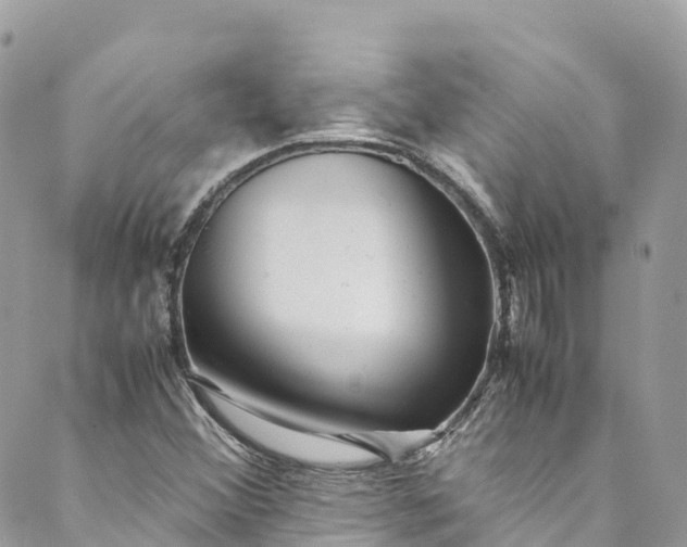 X0000089431356200706291304