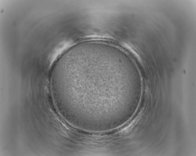 X0000089431357200706291304