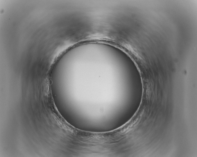 X0000089431358200706291304