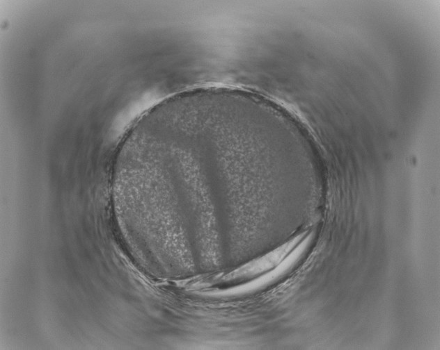 X0000089431359200706291304