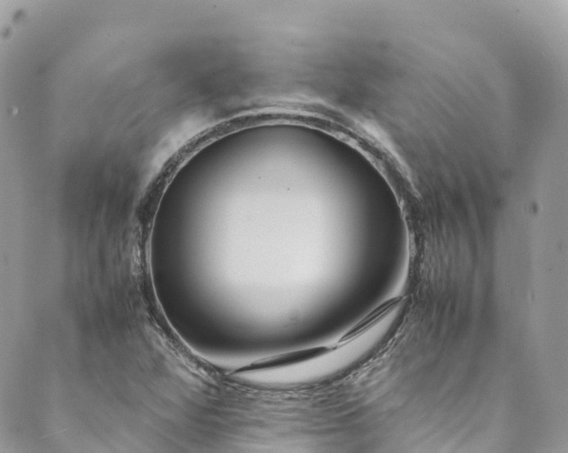 X0000089431360200706291304