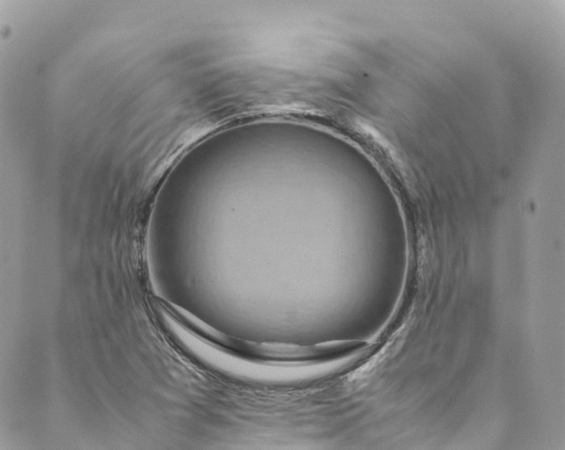 X0000089431361200706291304