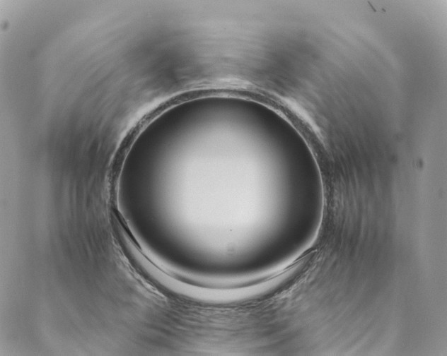 X0000089431364200706291304